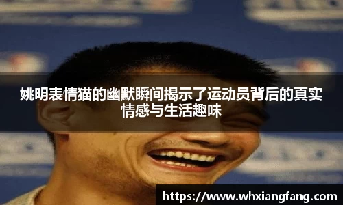 完美体育在线入口官网