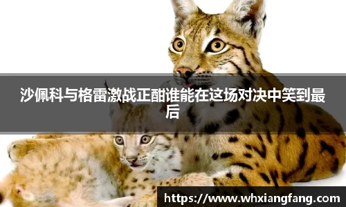 完美体育官网